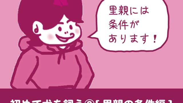 保護犬大阪の譲渡会場所どこ 里親引き取り費用は無料かも調べてみた 今週のペルル店長