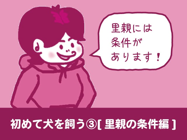 初めて犬を飼う 里親準備編第3話 保護犬里親になる条件と初期費用を紹介 今週のペルル店長