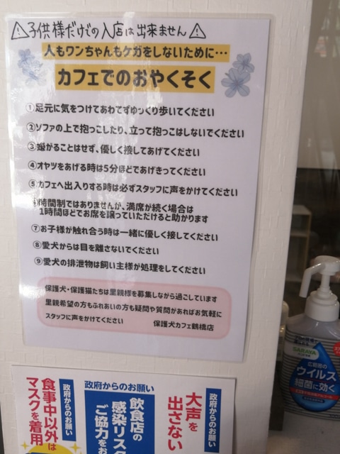 保護犬カフェ　大阪　本部　鶴橋　料金　里親　条件