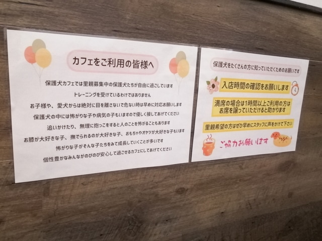 保護犬カフェ　大阪　本部　鶴橋　料金　里親　条件