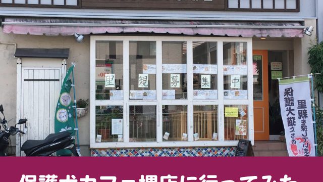 保護犬カフェ　大阪　堺　料金　システム