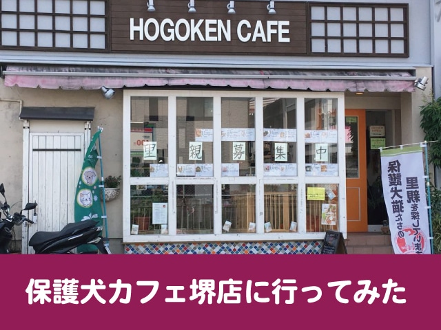 保護犬カフェ　大阪　堺　料金　システム