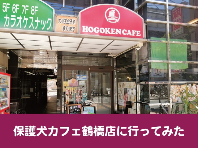 保護犬カフェ　大阪　本部　鶴橋　料金　里親　条件