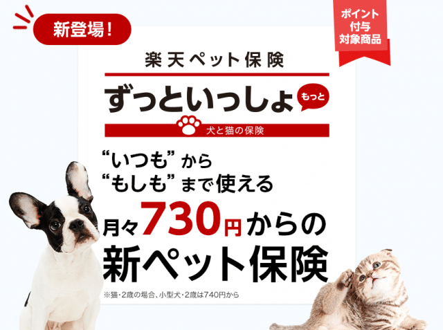 犬を飼うのにペット保険は必要 ペット保険利用してみた感想と人気ペット保険を徹底比較 今週のペルル店長