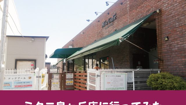 大阪　堺　ドッグラン　料金　システム　ミクニ