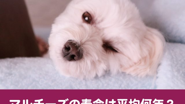 Fw2jb47yknptwm Fw2jb47yknptwm