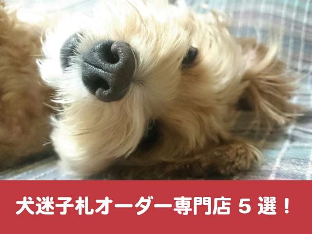 犬迷子札オーダー専門店5選 真鍮やシルバーのハンドメイド商品も紹介 今週のペルル店長 犬迷子札オーダー専門店5選 真鍮やシルバーのハンドメイド商品も紹介 今週のペルル店長