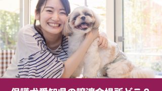 保護犬　愛知　譲渡会　場所　行き方　参加方法