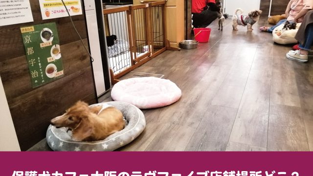 保護犬カフェ　大阪　ラブファイブ　店舗　アクセス　駐車場