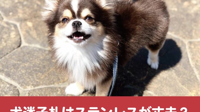 犬　迷子札　ステンレス　丈夫　噛む　嫌がる　選び方