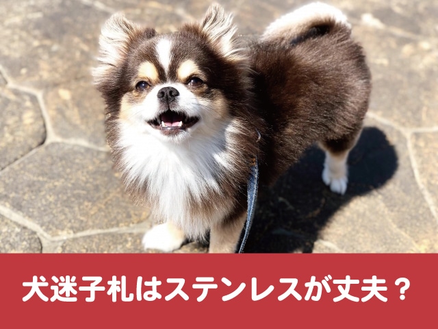 犬　迷子札　ステンレス　丈夫　噛む　嫌がる　選び方