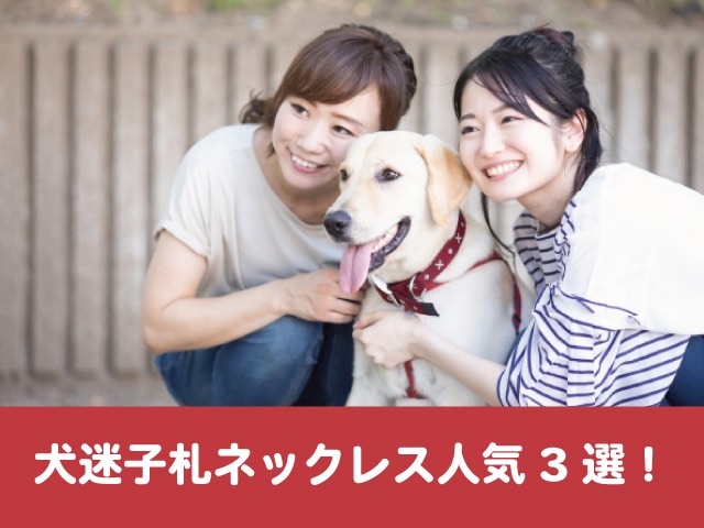犬迷子札ネックレス人気3選 おしゃれな誕生石入りデザインやかわいいジュエリー型も紹介します 今週のペルル店長