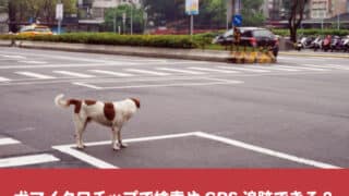 犬マイクロチップ　検索　GPS　探し方　紹介　迷子　居場所　追跡