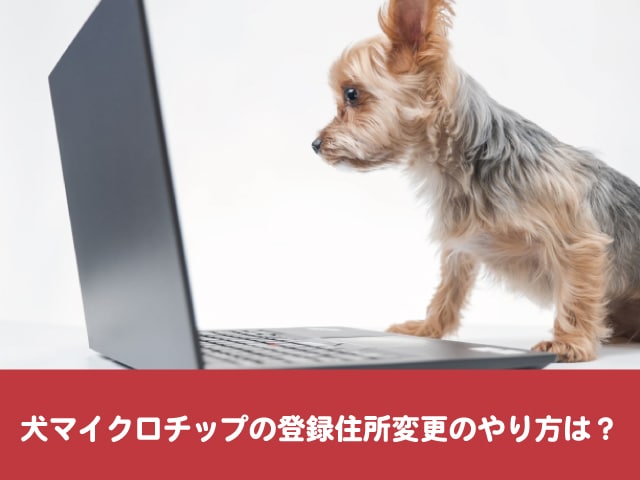 犬マイクロチップ　住所変更　登録　やり方　内容確認　名義変更　手続き　証明書