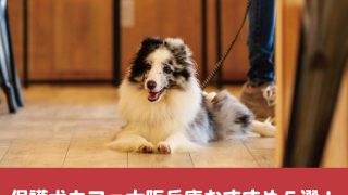保護犬カフェ　大阪　兵庫　おすすめ　料金　評判　口コミ