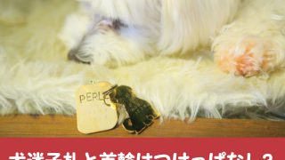 犬　迷子札　ネックレス　人気　おしゃれ　かわいい　デザイン　誕生石　ジュエリー