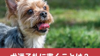 犬　迷子札　電話番号　名前　書くこと　マイクロチップ　情報　必要