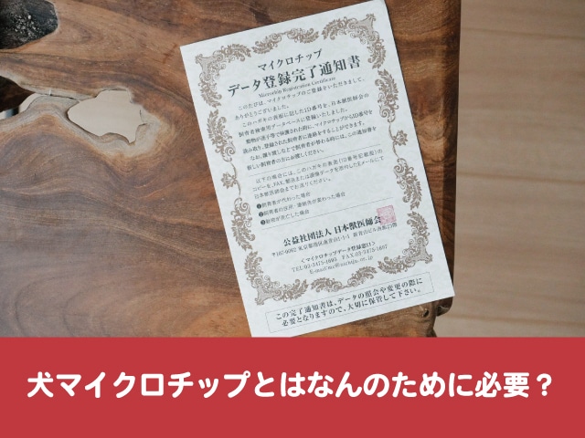 犬マイクロチップ　とは　なんのため　必要　日本獣医師会　FAM　aipo