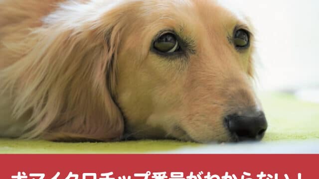 犬マイクロチップ　番号　分からない　会社変更　書き換え　上書き　更新