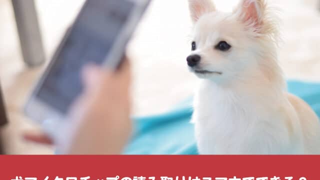 犬マイクロチップ　読み取り　スマホ　どこで　情報　照会