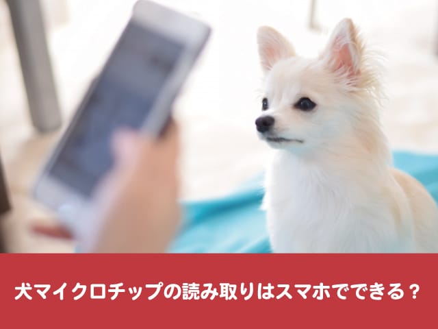 犬マイクロチップ　読み取り　スマホ　どこで　情報　照会