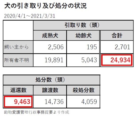迷子札　保護犬　繁殖犬　里親　迷子