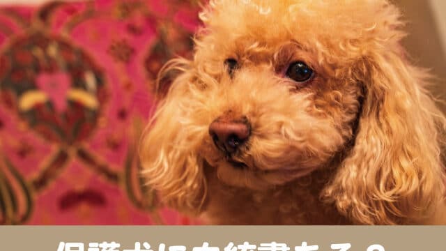 保護犬　血統書　保健所　純血種　子犬