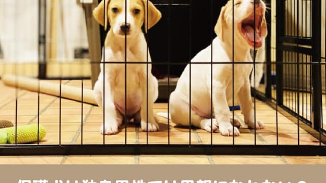 保護犬　独身男性　 譲渡　条件　単身者　厳しい