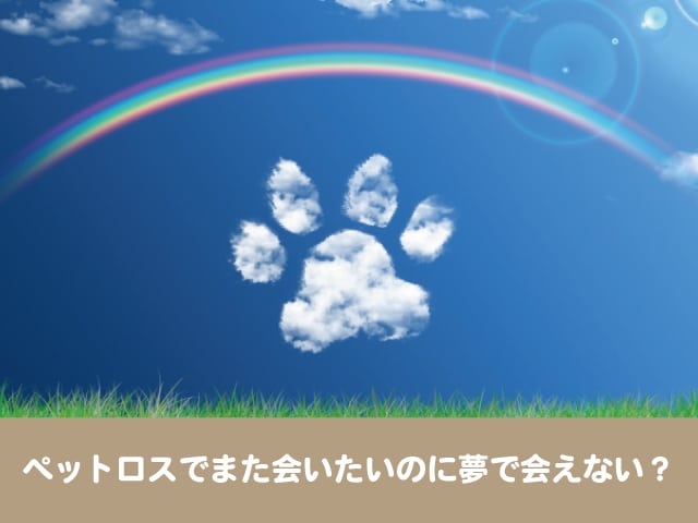 ペットロスで犬に会いたい 愛犬の死後で不思議な現象や生まれ変わりの体験談が泣ける 今週のペルル店長