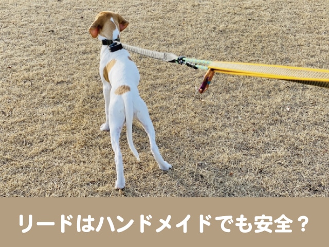 犬　リード　ハンドメイド　強度　安全　壊れる　事故　責任