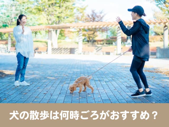 犬の散歩で夏は何時ごろがおすすめ 冬で時間帯や距離は変わる 今週のペルル店長 犬の散歩で夏は何時ごろがおすすめ 冬で時間帯や距離は変わる 今週のペルル店長