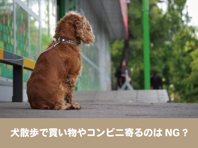 犬散歩で買い物やコンビニ寄るのはng 事故や苦情のトラブルで危険 今週のペルル店長