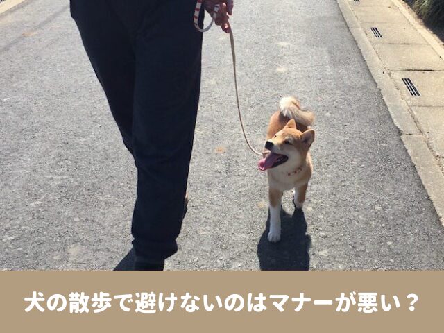 犬の散歩　避けない　歩道　公園　ルール　注意点