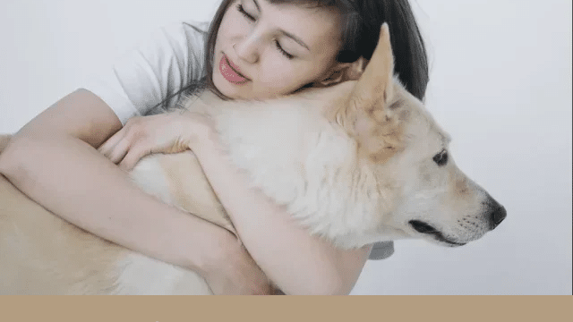 繁殖犬　吠えない　引退　おとなしい　臆病　なつかない