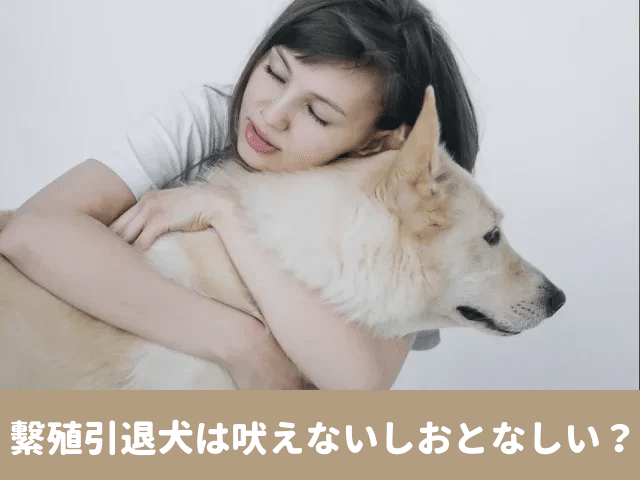 繁殖犬　吠えない　引退　おとなしい　臆病　なつかない