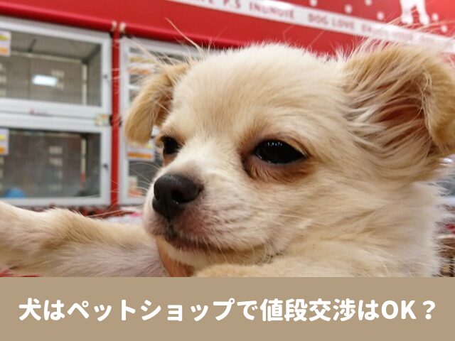 犬　ペットショップ　値段交渉　ワクチン代　保険　値下げ