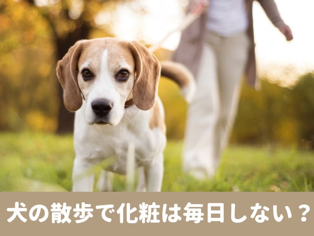 犬の散歩　化粧　毎日　早朝　メイク　すっぴん