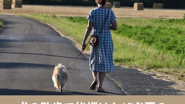 犬の散歩　挨拶　なぜ必要　話しかけられたくない　話しかける　気をつけること