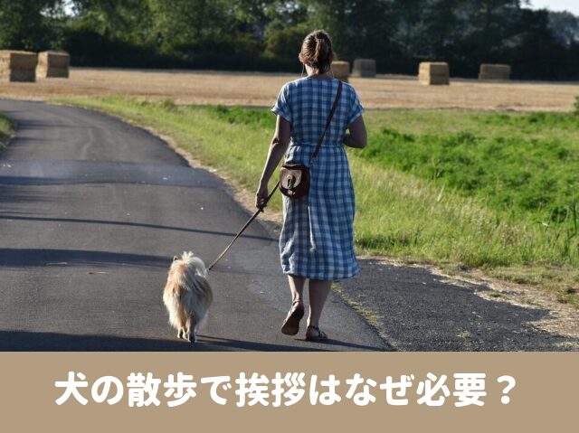 犬の散歩　挨拶　なぜ必要　話しかけられたくない　話しかける　気をつけること