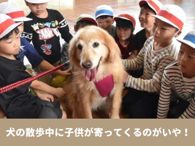 犬散歩　子供　寄ってくる　触ってくる　注意する