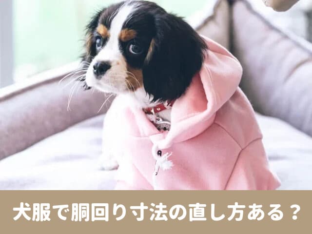 犬服　胴回り　直し方　寸法　市販　簡単　サイズ調整