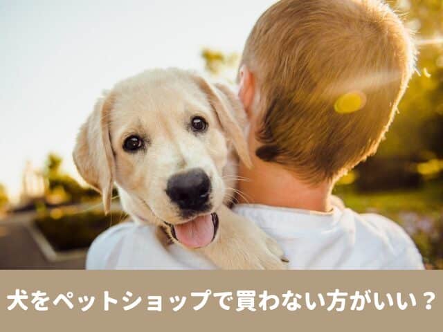 犬　ペットショップ　買わない　ブリーダー　保護犬　里親　おすすめ　