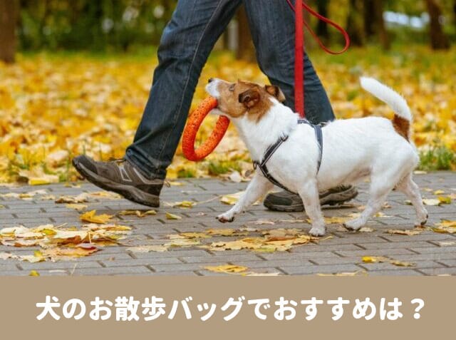 犬　お散歩バッグ　100均　使いやすい　袋　ティッシュ　中身