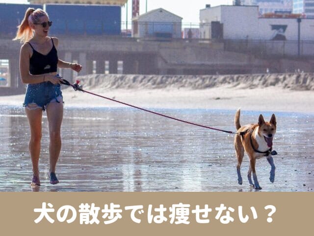 犬の散歩　痩せない　健康効果　運動不足解消　口コミ