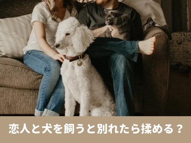 犬を飼う　別れ　恋人　同棲解消　ペット　所有権