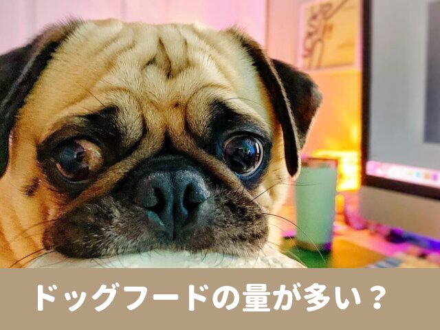 ドッグフード　量　多い　給餌量　体重管理