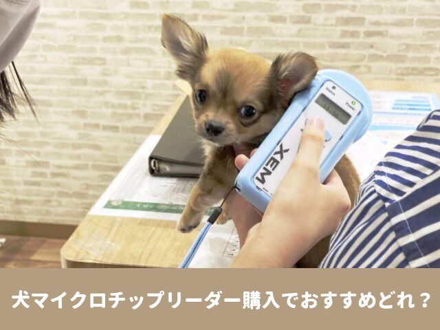 犬マイクロチップ　リーダー　購入　おすすめ　飼い主　情報　照会