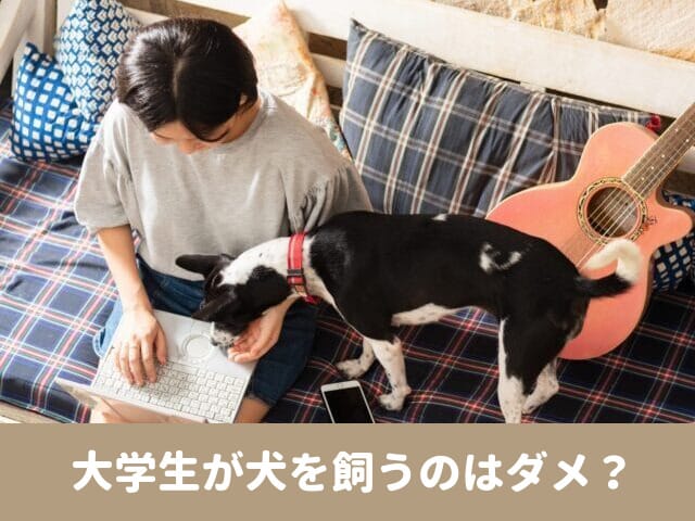 犬を飼う　大学生　独り暮らし　学生　苦労　大変なこと