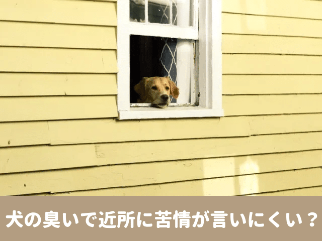 犬　臭い　近所　苦情　近隣　飼い主　口コミ