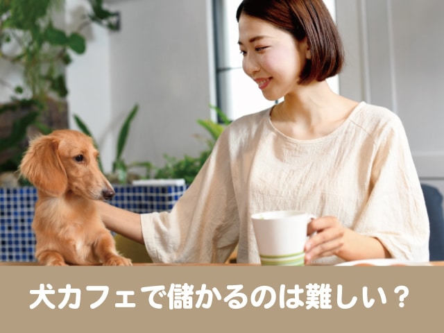 犬カフェ 儲かる 難しい　経営　失敗